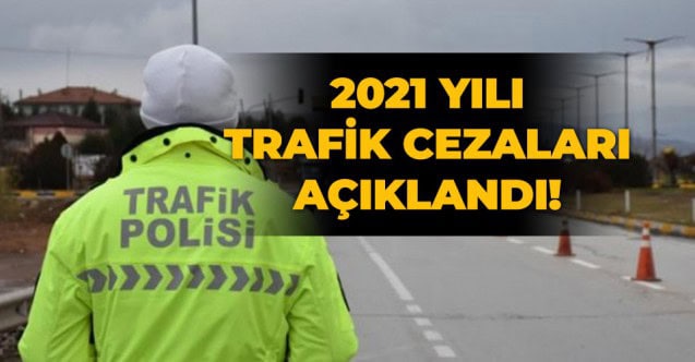 2021_in_trafik_cezalari_belli_oldu_h463132_9de46