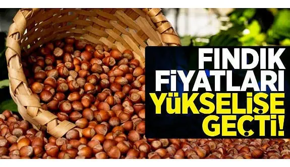 findik-fiyati-yukselise-gecti_84c7b