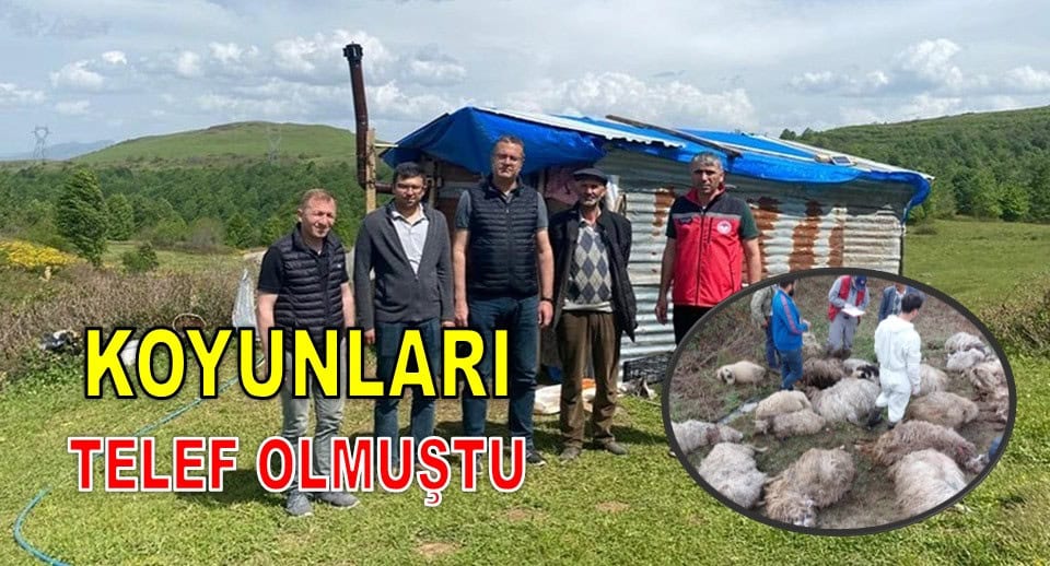 mudur-yilmaz-ailenin-magduriyetini-gidercegiz-225620-20230603