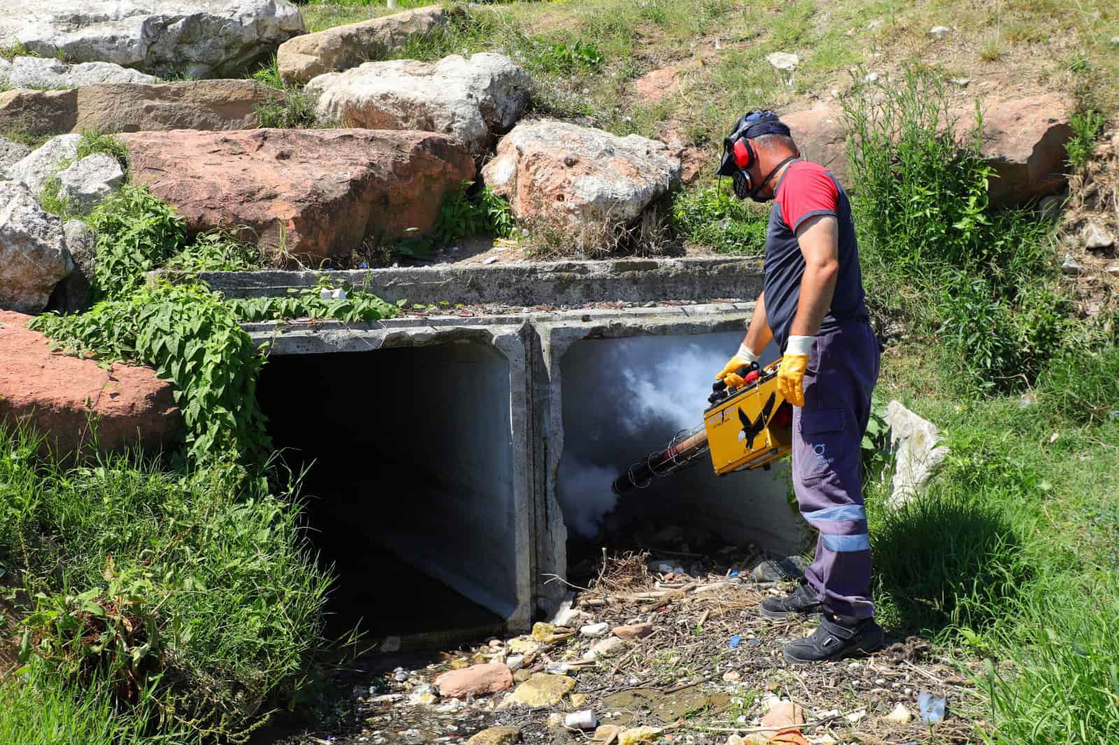 BÜYÜKŞEHİR VEKTÖRLERE KARŞI SAVAŞINI SÜRDÜRÜYOR (6)