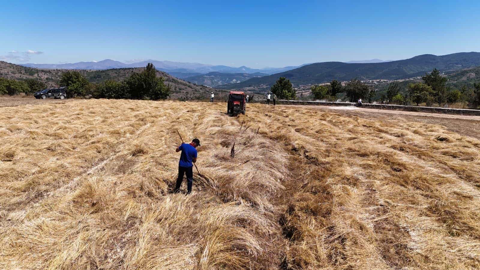 ORDU, TARIM VE HAYVANCILIKTA ÇITAYI YÜKSELTTİ (2)