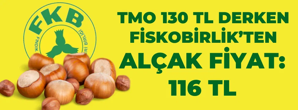 bir-baslik-ekleyin-2024-08-16t160638533