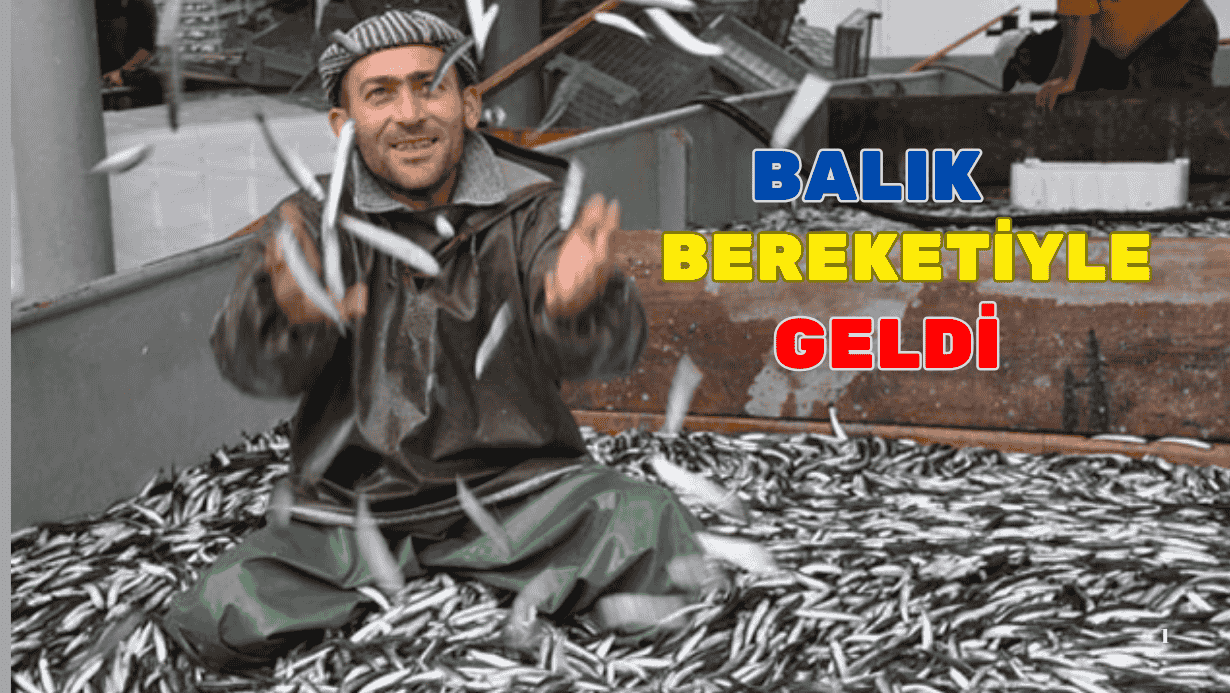 Tezgahlarda Hamsi Bolluğu