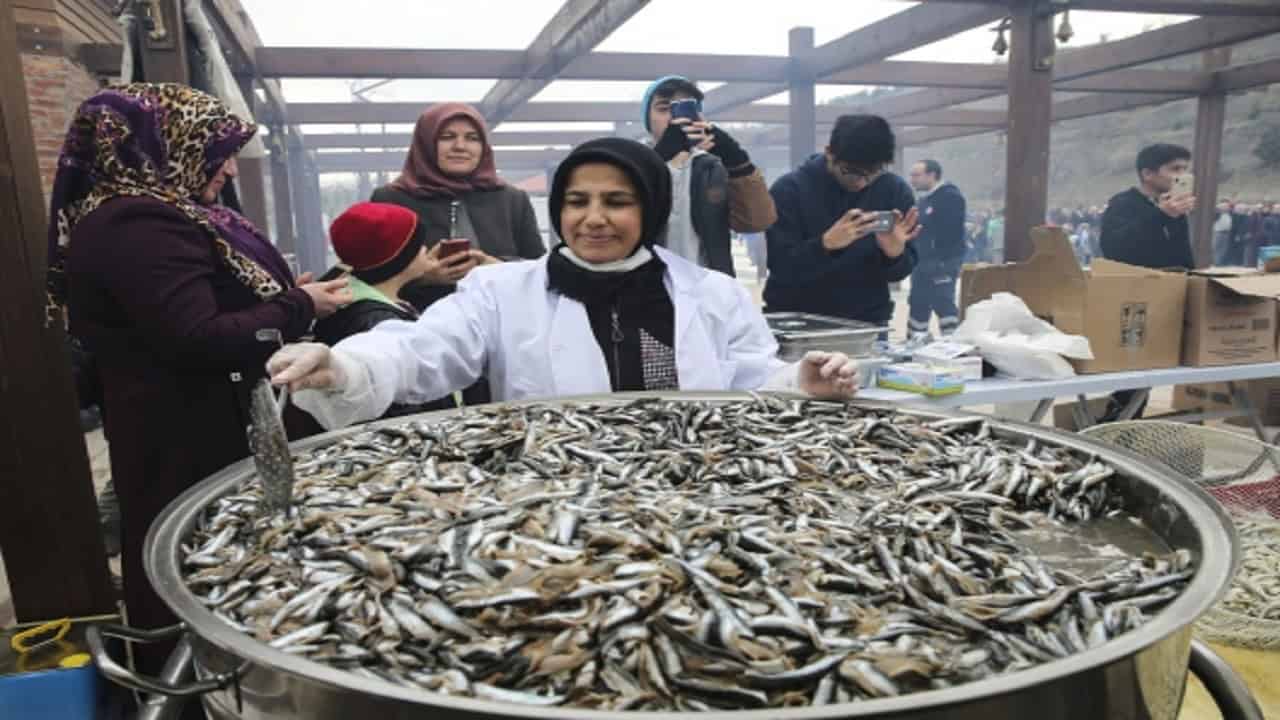 Hamsi Festivaline Davetlisiniz