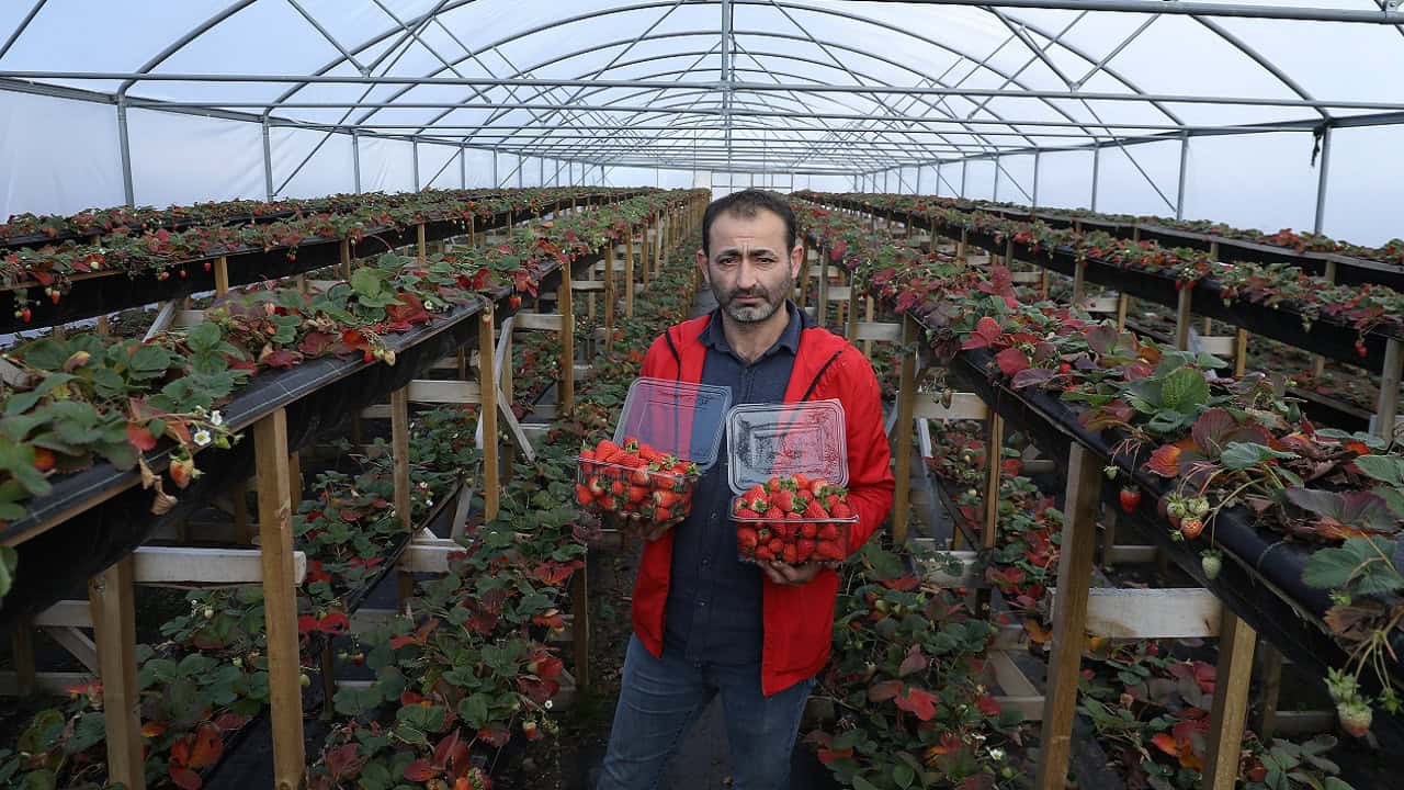 Büyükşehir Destek Verdi, Üretim 4 Mevsime Çıktı