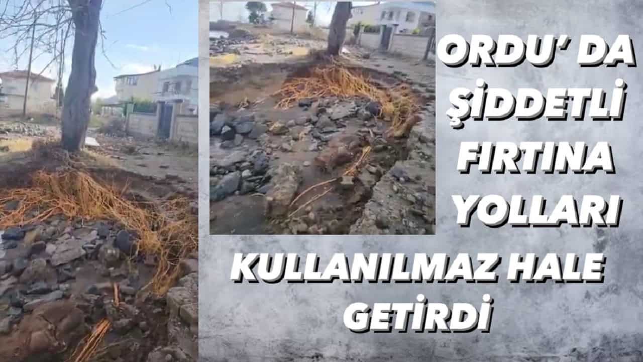 Ordu' da Şiddetli Fırtına