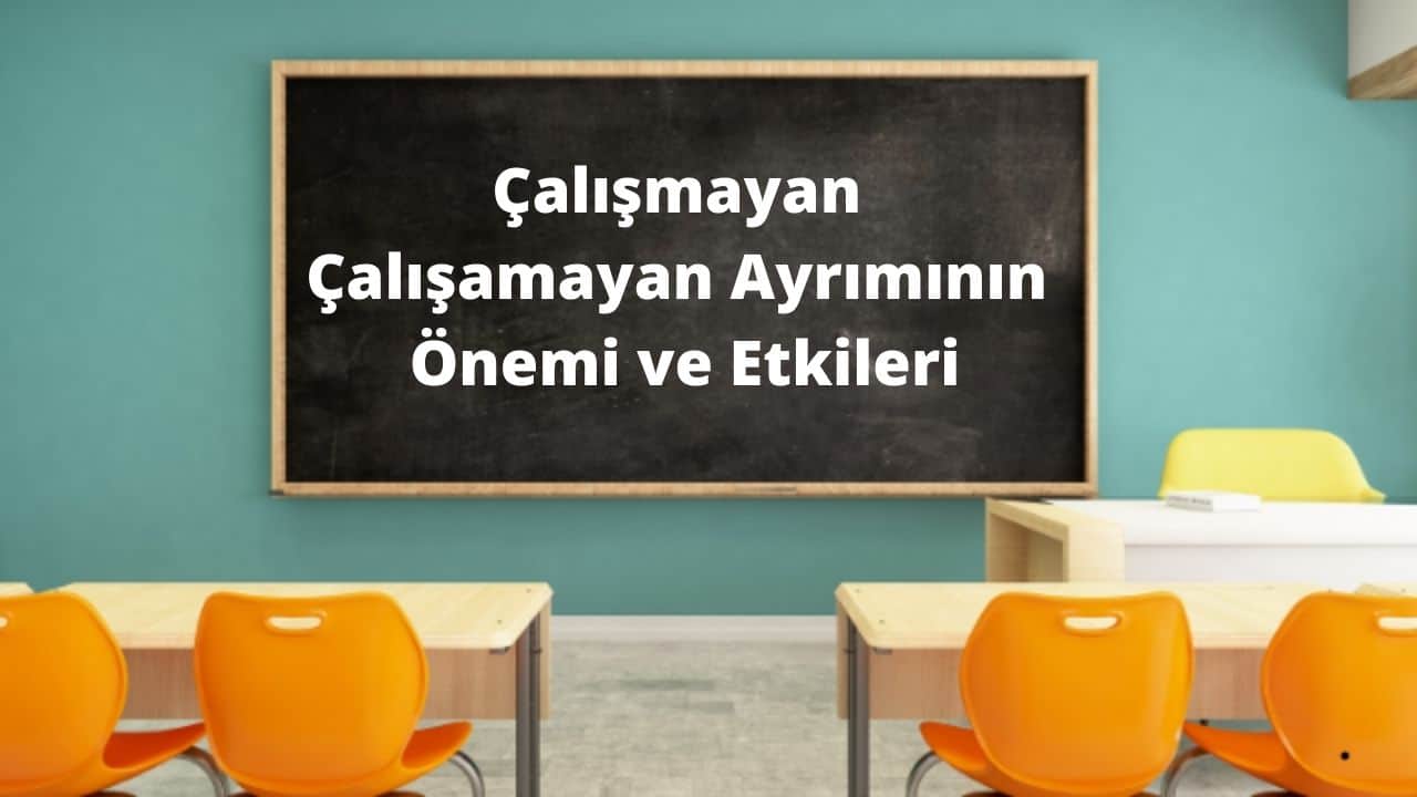 Çalışmayan Çalışamayan Ayrımının Önemi ve Etkileri