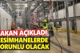 Bakanlık, Kesimhanelerde Kamera Zorunluluğu Getiriyor: Yeni Düzenleme Yolda