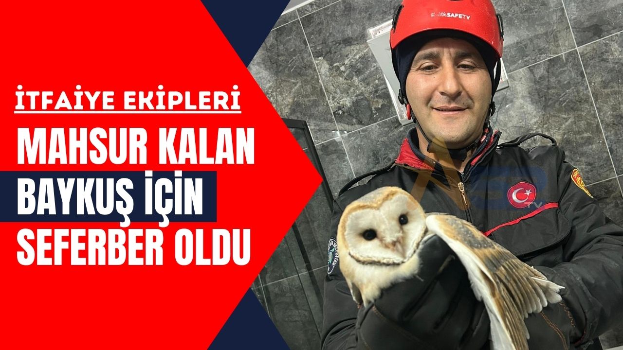 Mahsur Kalan Baykuş İçin İtfaiye Ekipleri Harekete Geçti!