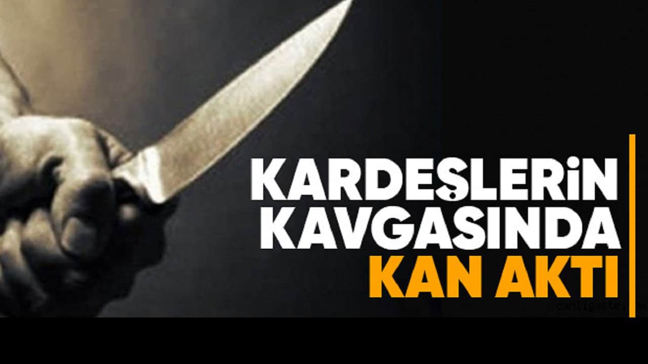 Ünye'de Kardeşler Arasında Bıçaklı Kavga: 1 Yaralı